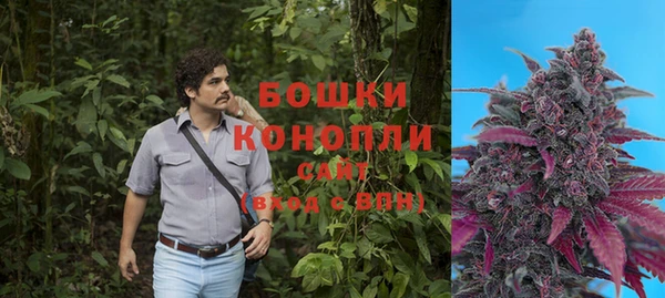 дживик Зеленодольск
