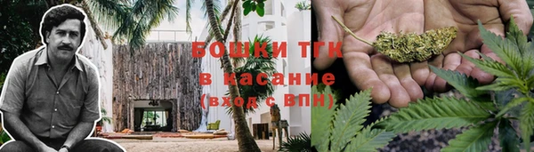 дживик Зеленодольск