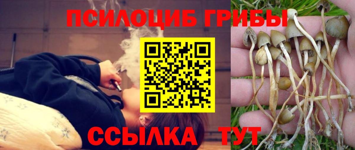 Галлюциногенные грибы мухоморы Сланцы