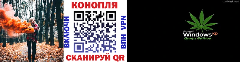 Бошки Шишки THC 21%  даркнет сайт  Сланцы 
